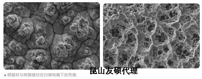 烟台蔡司烟台扫描电镜