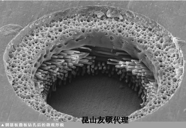 烟台蔡司烟台扫描电镜